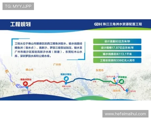 广州飞盘队进攻革新之路探索与实践全面解析