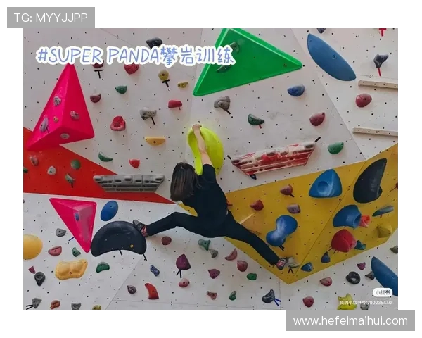 攀岩深度探索：揭秘上海攀岩队的战术与训练之道