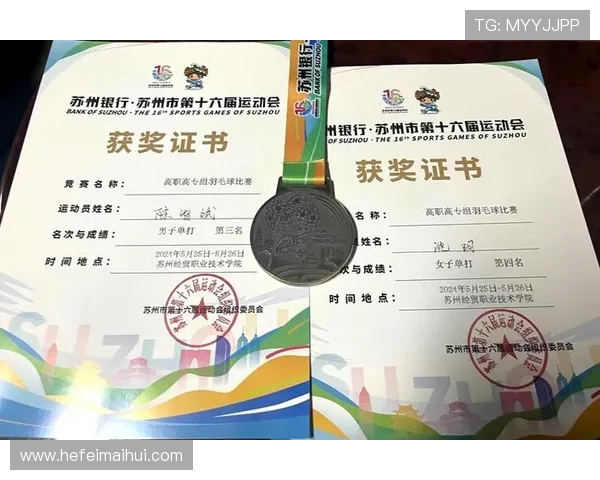 深圳羽毛球队与南京羽毛球队赛后状态分析与复盘探讨